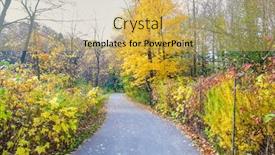  Presentation with toronto - Slide deck having sunnybrook-park-in-toronto-canada background and a yellow colored foreground