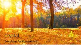  Presentation with pine trees sun shining through - Beautiful PPT theme featuring sunray - autumn landscape with trees backdrop and a  colored foreground
