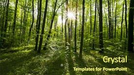  Presentation with forest beautiful spring nature - Colorful presentation theme enhanced with sunray - spring forest trees nature green backdrop and a tawny brown colored foreground