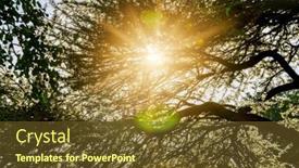  Presentation with african sunset - Slide deck with sunrays-at-sunset-through background and a tawny brown colored foreground