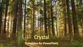  Presentation with british - PPT theme enhanced with sunrays filtering thru the forest background and a tawny brown colored foreground