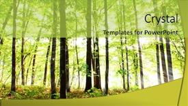  Presentation with bohemian - Cool new PPT theme with sunrays in bohemian forest backdrop and a yellow colored foreground