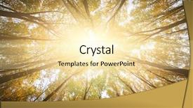  Presentation with autumn wood - PPT theme enhanced with sunrays mist - autumn forest trees nature green background and a  colored foreground