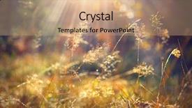  Presentation with fall morning - Colorful PPT theme enhanced with sunrays mist - beautiful nature background autumn grass backdrop and a coral colored foreground