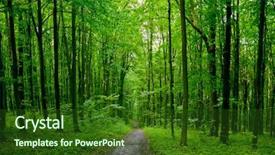  Presentation with pathway - Colorful theme enhanced with sunrays mist - nature tree pathway backdrop and a forest green colored foreground