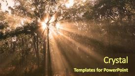  Presentation with sunlight - Colorful presentation theme enhanced with sunrays mist - shafts of sunlight backdrop and a tawny brown colored foreground