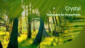  Presentation with sri lanka - PPT theme with sunrays mist - sunlight rays pour through leaves background and a tawny brown colored foreground