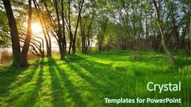  Presentation with forest - Beautiful presentation design featuring sunrays mist - sunset in forest nature composition backdrop and a forest green colored foreground