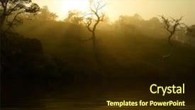  Presentation with foggy forest - Presentation theme with sunrays mist - sunset in the foggy forest background and a wine colored foreground