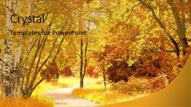  Presentation with trees - Slide set enhanced with sunrays mist - trees of yellow leaves background and a gold colored foreground