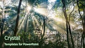 Presentation with nepal - Audience pleasing slide deck consisting of sunrays passing through trees backdrop and a tawny brown colored foreground
