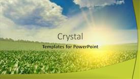  Presentation with corn field - Presentation design having sunrise-against-bright-blue-sky background and a soft green colored foreground