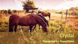  Presentation with brown and purple and dogwood tree - Theme with sunrise grazing near stable background and a tawny brown colored foreground