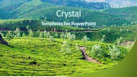  Presentation with green tea - Colorful presentation theme enhanced with sunrise in munnar kerala backdrop and a teal colored foreground