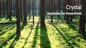 Presentation with forest morning - Audience pleasing presentation consisting of sunrise in pine forest backdrop and a dark gray colored foreground