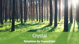  Presentation with forest morning - PPT layouts with sunrise in pine forest background and a seafoam green colored foreground