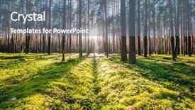  Presentation with forest morning - Slide set with sunrise in pine forest background and a ocean colored foreground