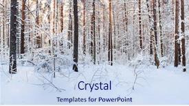  Presentation with winter evergreen forest - Amazing slide deck having sunrise in snow winter forest backdrop and a sky blue colored foreground