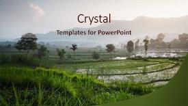  Presentation with rice fields - Amazing PPT layouts having sunrise in the valley with rice fields and mountains backdrop and a sky blue colored foreground