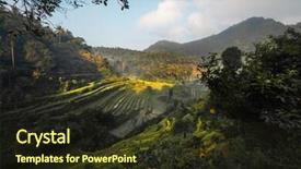  Presentation with rice fields - Slides featuring sunrise in the valley with rice fields and mountains background and a tawny brown colored foreground