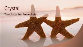  Presentation with fish beach - Theme featuring sunrise light seascape live background and a  colored foreground