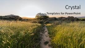  Presentation with morning sunrise - Theme with day porter - sunrise meadow trail morning background and a lemonade colored foreground