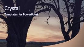  Presentation with thorn forest - PPT theme enhanced with sunrise or sunset in forest background and a wine colored foreground