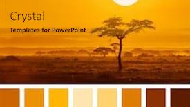  Presentation with kenya - Cool new slide set with sunrise-over-an-acacia-tre backdrop and a light gray colored foreground