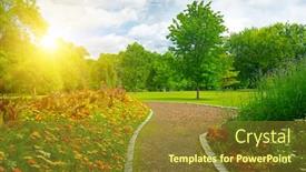  Presentation with public - Presentation design enhanced with sunrise-over-beautiful-meadow background and a tawny brown colored foreground