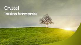  Presentation with old dry tree - Beautiful presentation featuring sunrise over old lonely tree backdrop and a gray colored foreground