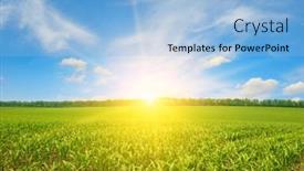  Presentation with agriculture corn - PPT theme featuring sunrise-over-summer-corn-field background and a light blue colored foreground