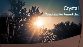  Presentation with arizona desert - Presentation with sunrise over the desert - scottsdale background and a ocean colored foreground