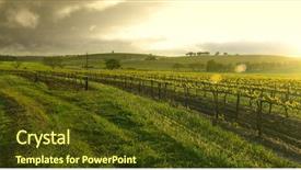  Presentation with vineyard - Presentation design enhanced with vineyard in the barossa background and a tawny brown colored foreground