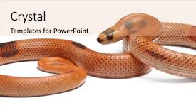  Presentation with sailing into sunrise - Theme consisting of sunrise patternless reverse honduran milk background and a lemonade colored foreground