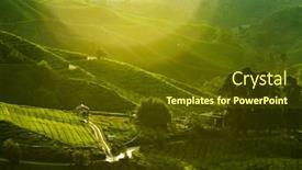  Presentation with tea plantation - Presentation theme featuring sunrise-view-of-tea-plantation background and a tawny brown colored foreground