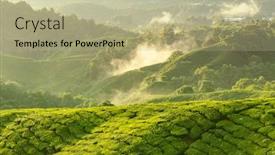  Presentation with tea plantation - Cool new slide set with sunrise-view-of-tea-plantation backdrop and a mint green colored foreground