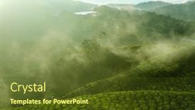  Presentation with tea plantation - Presentation consisting of sunrise-view-of-tea-plantation background and a tawny brown colored foreground