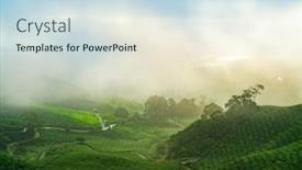  Presentation with tea plantation - Colorful presentation enhanced with sunrise-view-of-tea-plantation backdrop and a sky blue colored foreground