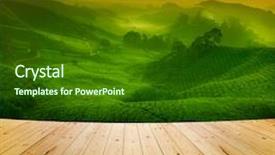  Presentation with cameron highland - Amazing slide deck having sunrise view of tea backdrop and a forest green colored foreground