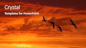  Presentation with sunrise - Slides consisting of sunrise background and a tawny brown colored foreground