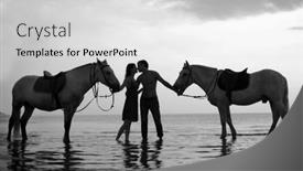  Presentation with tourists - Slide set having sunset-at-sea-horses background and a light gray colored foreground