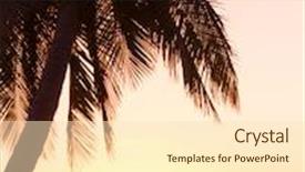  Presentation with divine - Colorful presentation enhanced with sunset divine night is coming backdrop and a lemonade colored foreground