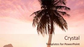  Presentation with divine - PPT theme having sunset divine tree silhouettes background and a lemonade colored foreground