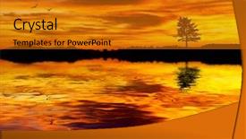  Presentation with eagle - Slide deck having sunset eagle - when the sky is red background and a gold colored foreground