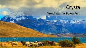  Presentation with magic - PPT theme consisting of sunset herd of mustang background and a lemonade colored foreground