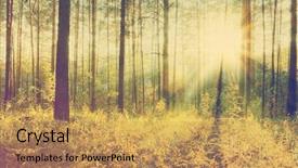  Presentation with film - Colorful slide set enhanced with sunset in autumn forest retro backdrop and a  colored foreground