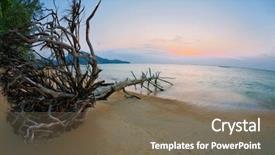  Presentation with fish beach - Slide deck having sunset in fish-eye lense background and a violet colored foreground