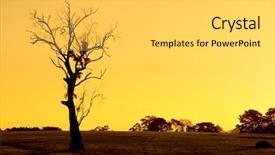  Presentation with australia - Amazing presentation having sunset in kersbrook south australia backdrop and a  colored foreground