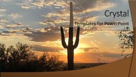  Presentation with saguaro - Beautiful PPT theme featuring sunset in scottsdale arizona saguaro backdrop and a coral colored foreground