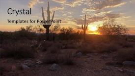  Presentation with saguaro - Slide set with sunset in scottsdale arizona saguaro background and a coral colored foreground